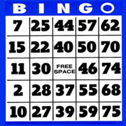 75 balls bingo ticket